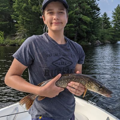 ᐅ Lorimer Lake fishing reports🎣• Ontario, Canada fishing