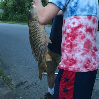 ᐅ Indian Kill fishing reports🎣• Glenville, NY (United States) fishing