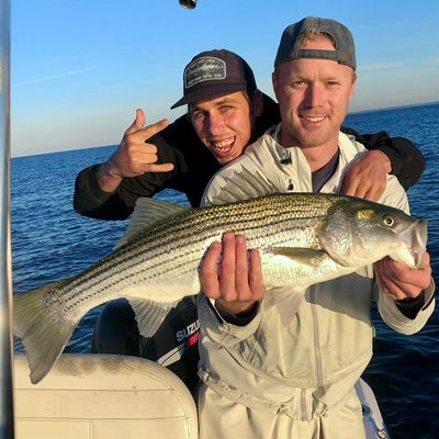 ᐅ Orient Harbor fishing reports🎣• Southold, NY (United States