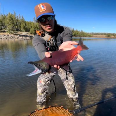 Wolford Mountain Reservoir fishing reports Steamboat Springs