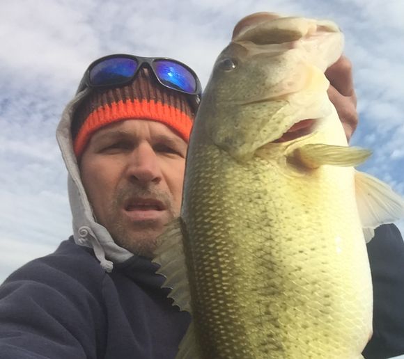 Fishing reports, best baits and forecast for fishing in Octoraro Lake