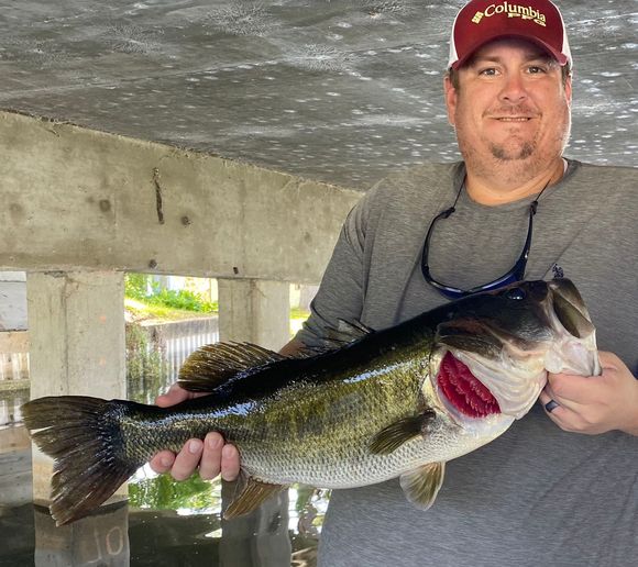 Fishing reports, best baits and forecast for fishing in Lake Dora