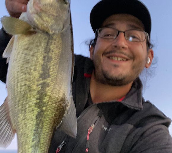 Fishing reports, best baits and forecast for fishing in Hauser Lake