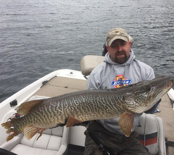 Fishing reports, best baits and forecast for fishing in Lake Merwin