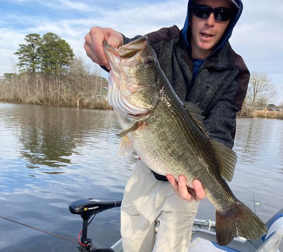 Fishing reports, best baits and forecast for fishing in Wiggins Mill ...