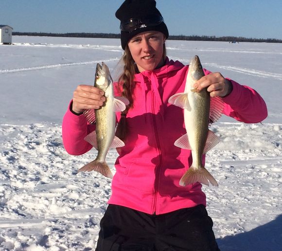 Fishing reports, best baits and forecast for fishing in Lake Abitibi