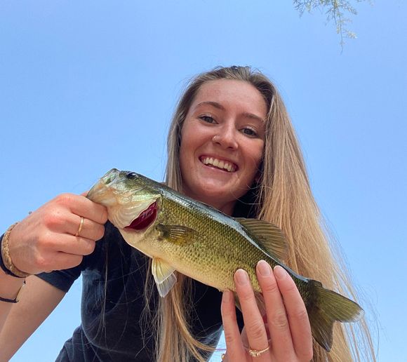 Fishing reports, best baits and forecast for fishing in Verde River