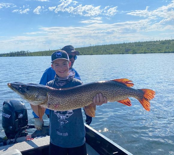 Fishing reports, best baits and forecast for fishing in Cree Lake