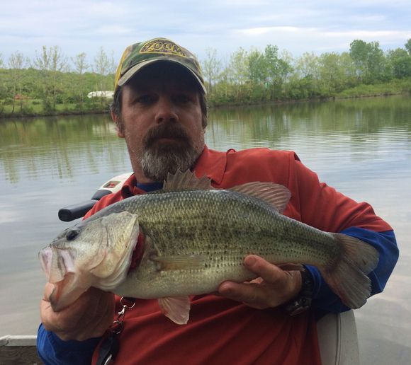 Fishing reports, best baits and forecast for fishing in Lake Logan