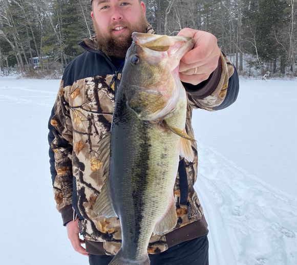 Fishing reports, best baits and forecast for fishing in Hicks Pond