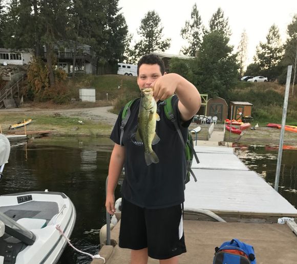 Fishing reports, best baits and forecast for fishing in Hauser Lake