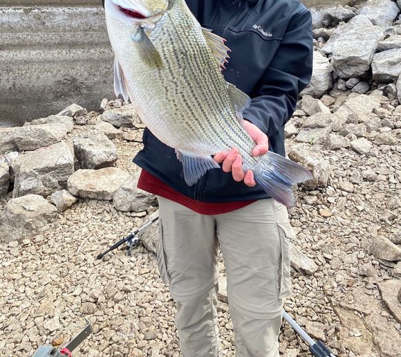 Fishing reports, best baits and forecast for fishing in Monroe Lake