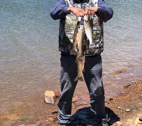 Fishing reports, best baits and forecast for fishing in Groundhog Reservoir