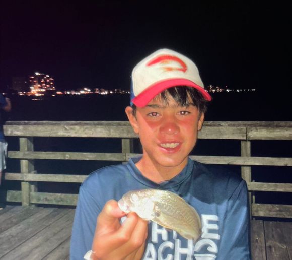 Fishing Reports Best Baits And Forecast For Fishing In Cherry Grove Inlet