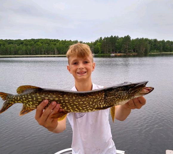 Fishing reports, best baits and forecast for fishing in Sawyer Lake