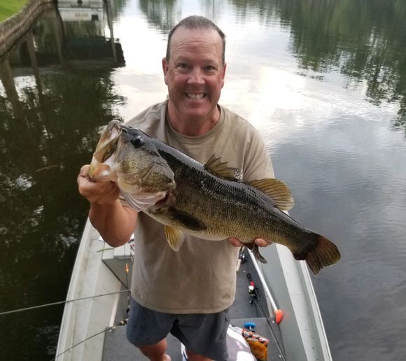 Fishing reports, best baits and forecast for fishing in Bay Tree Lake