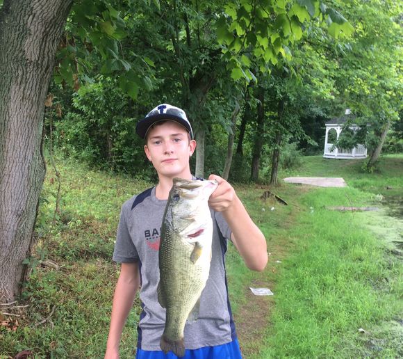 Fishing reports, best baits and forecast for fishing in Canonsburg Lake