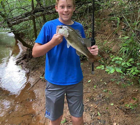 Fishing reports, best baits and forecast for fishing in Beaverdam Creek