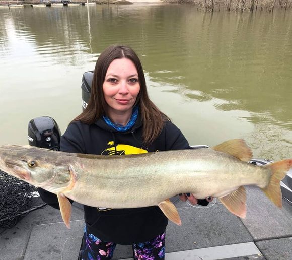 Fishing reports, best baits and forecast for fishing in Cave Run Lake