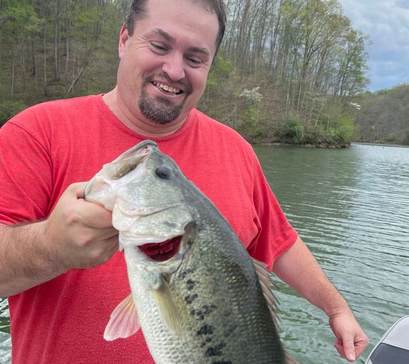 Fishing reports, best baits and forecast for fishing in Paintsville Lake