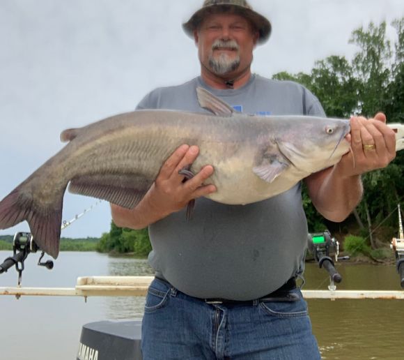 Fishing reports, best baits and forecast for fishing in Yadkin River