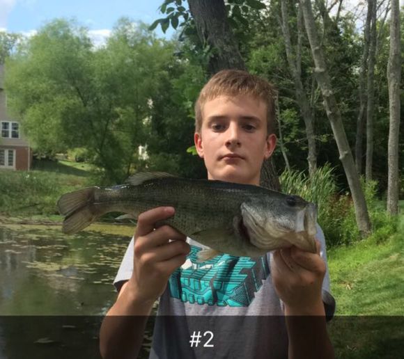 Fishing reports, best baits and forecast for fishing in Canonsburg Lake