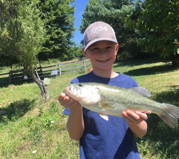 Fishing Reports, Best Baits And Forecast For Fishing In Acton Lake