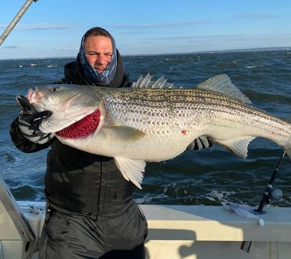 Fishing reports, best baits and forecast for fishing in Manasquan River