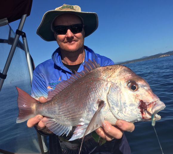 Fishing reports, best baits and forecast for fishing in Malua Bay