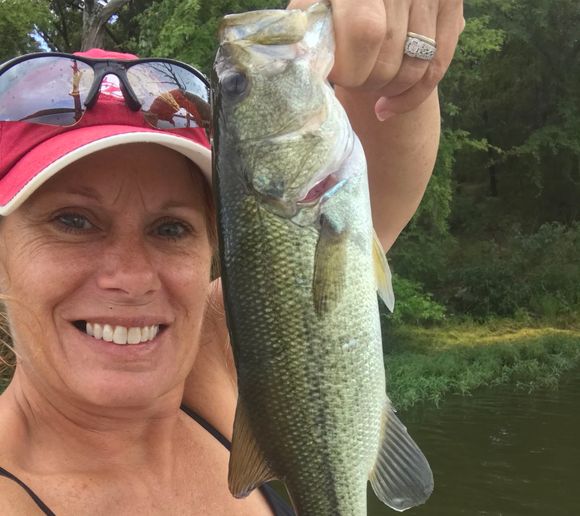 Fishing reports, best baits and forecast for fishing in Budd Kidd Lake