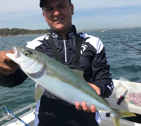 Fishing reports, best baits and forecast for fishing in Botany Bay