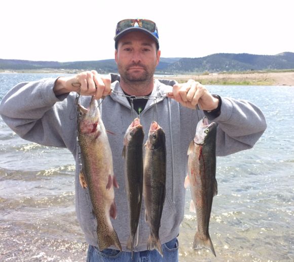 Fishing reports, best baits and forecast for fishing in Panguitch Lake