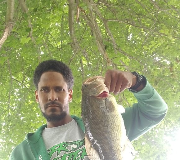 Fishing reports, best baits and forecast for fishing in Cobbs Creek