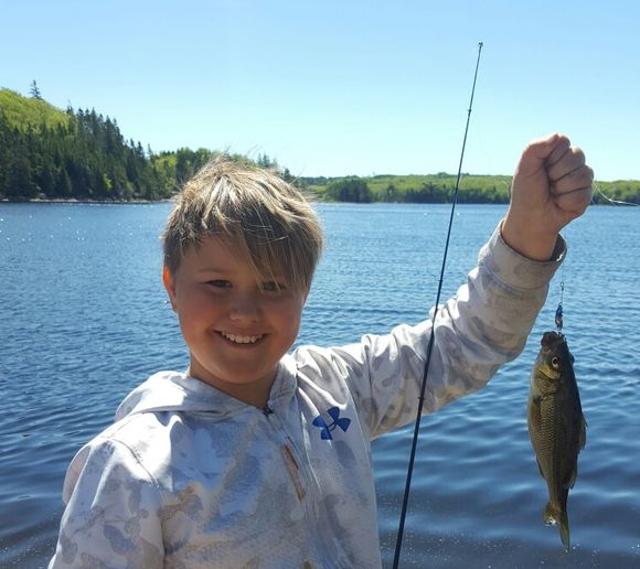 Fishing reports, best baits and forecast for fishing in Catalone Lake