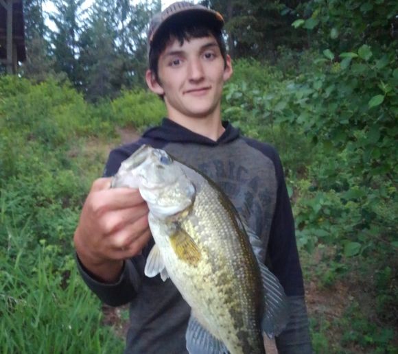 Fishing reports, best baits and forecast for fishing in Alvord Lake