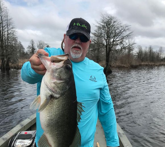 Fishing reports, best baits and forecast for fishing in Lake Moultrie