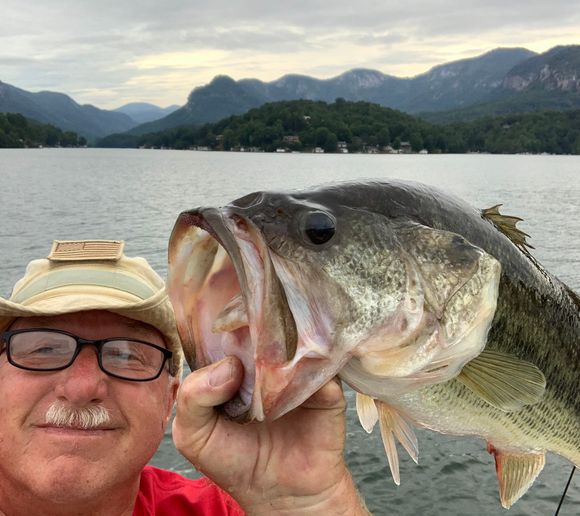 Fishing reports, best baits and forecast for fishing in Lake Lure