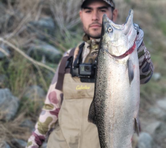 Fishing reports, best baits and forecast for fishing in Samish River