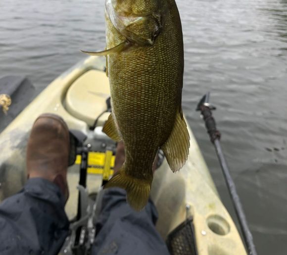 Fishing reports, best baits and forecast for fishing in Indian Lake