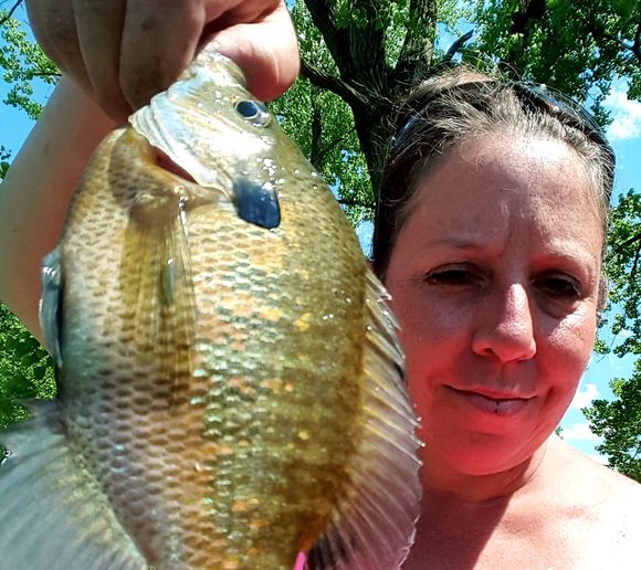 Fishing reports, best baits and forecast for fishing in Heidecke Lake