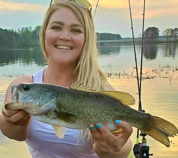 Fishing reports, best baits and forecast for fishing in Lake Acworth