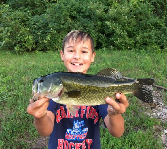 Fishing reports, best baits and forecast for fishing in Stub Pond