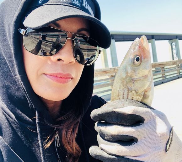 Fishing reports, best baits and forecast for fishing in Antioch Fishing Pier