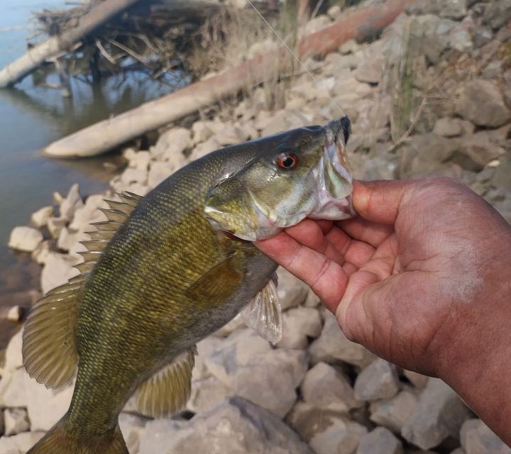 Fishing in Oakley - Find Spots, Species & Tips