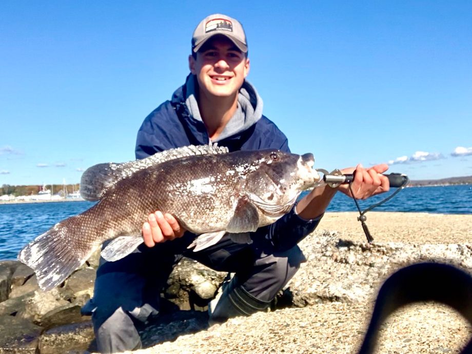 The most popular recent Tautog catch on Fishbrain