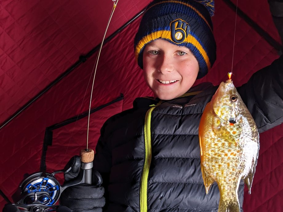 The most popular recent Pumpkinseed catch on Fishbrain