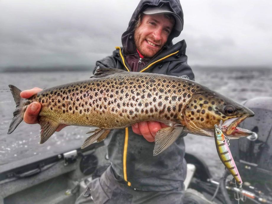 The most popular recent Lake trout catch on Fishbrain