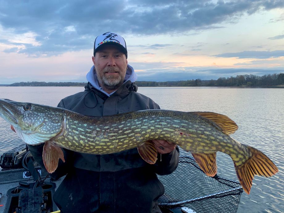 The most popular recent Northern pike catch on Fishbrain