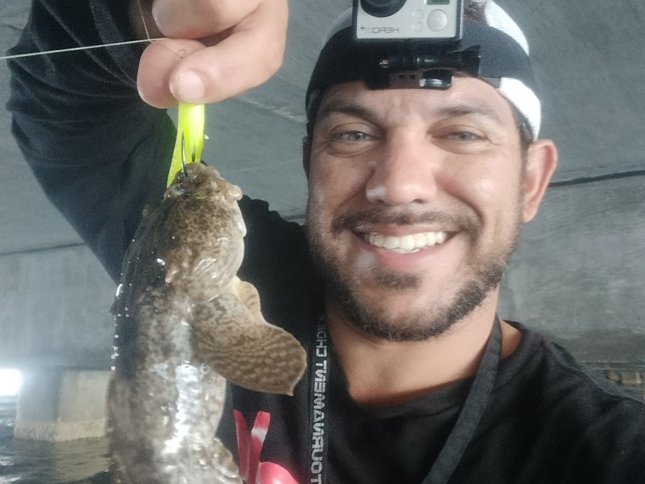 The most popular recent Oyster toadfish catch on Fishbrain