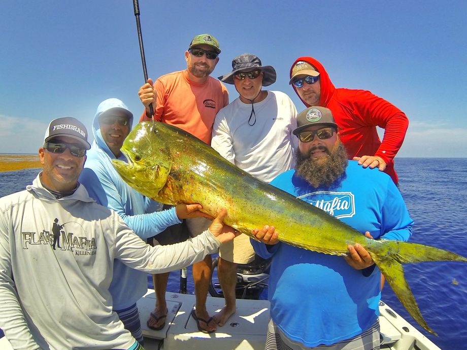 The most popular recent Common dolphinfish catch on Fishbrain